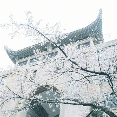 黑龙江2月5日新增确诊病例3例 均在绥化市望奎县